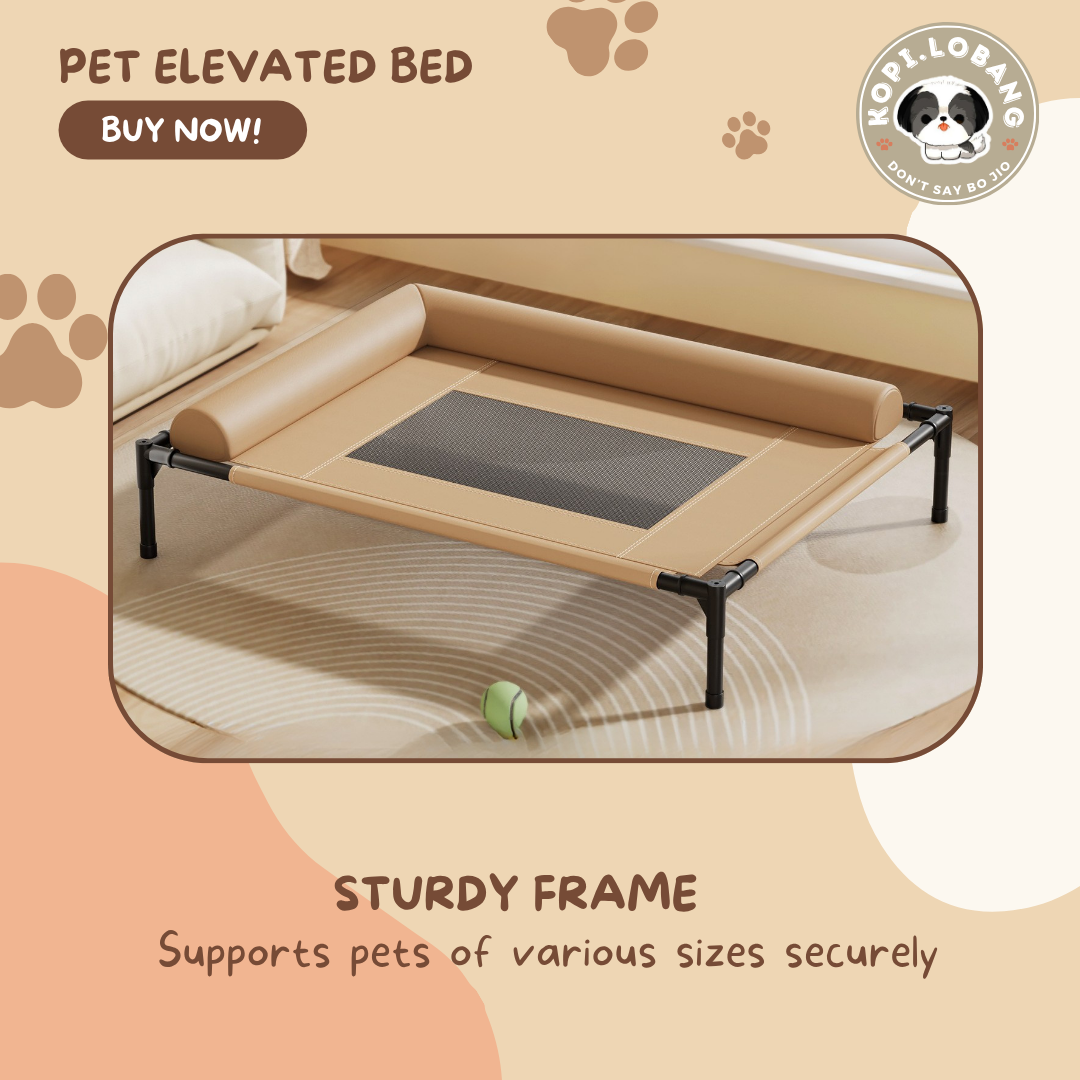 ✅[SG] Elevated Pet Bed for Dogs & Cats | Breathable & Durable Pet Bed | Easy Clean