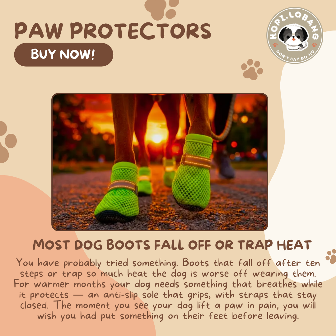 ✅[SG] Paw Protector ★ Enrichment ★ SG Stock ★ Kopi Lobang
