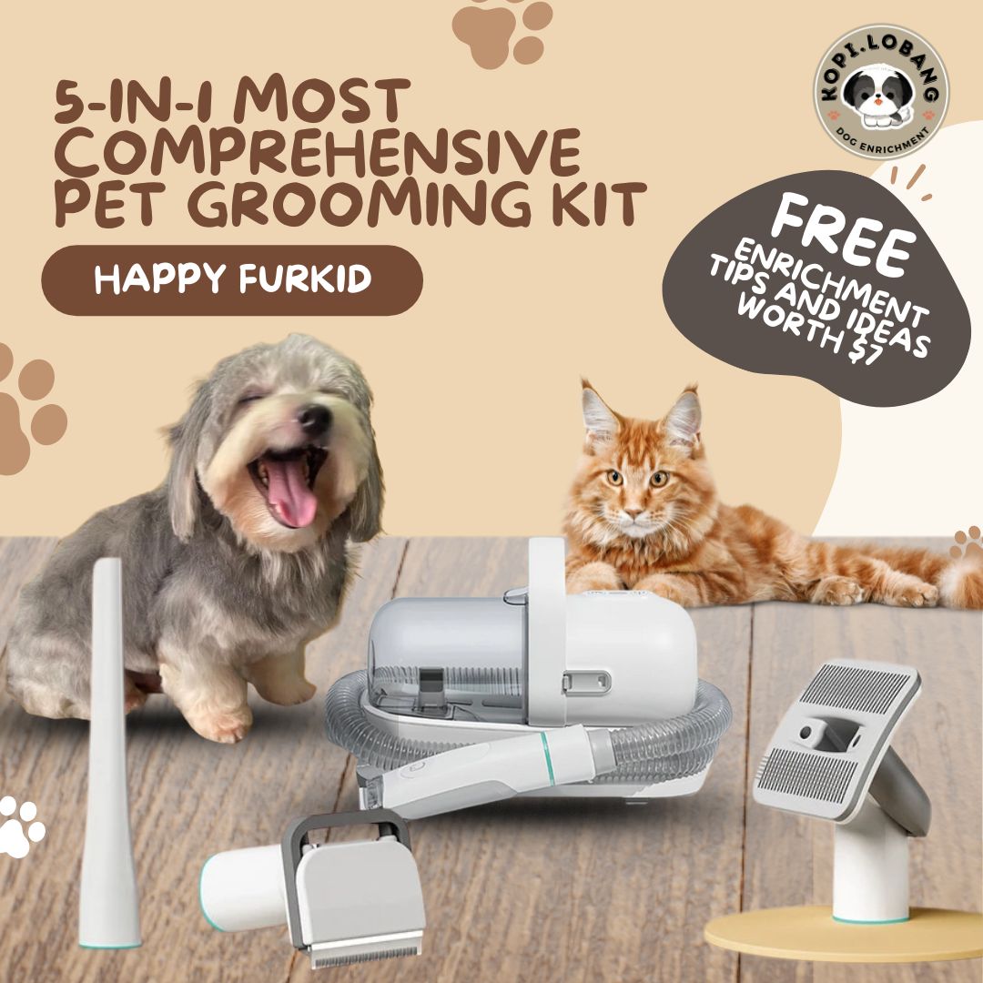 ✅[SG] 5-IN-1 MOST COMPREHENSIVE PET GROOMING KIT ★ FOR DOG AND CAT FREE Enrichment Tips & Ideas e-Guide Worth $7 ★ Pet Enrichment ★ SG Stock ★ Kopi Lobang