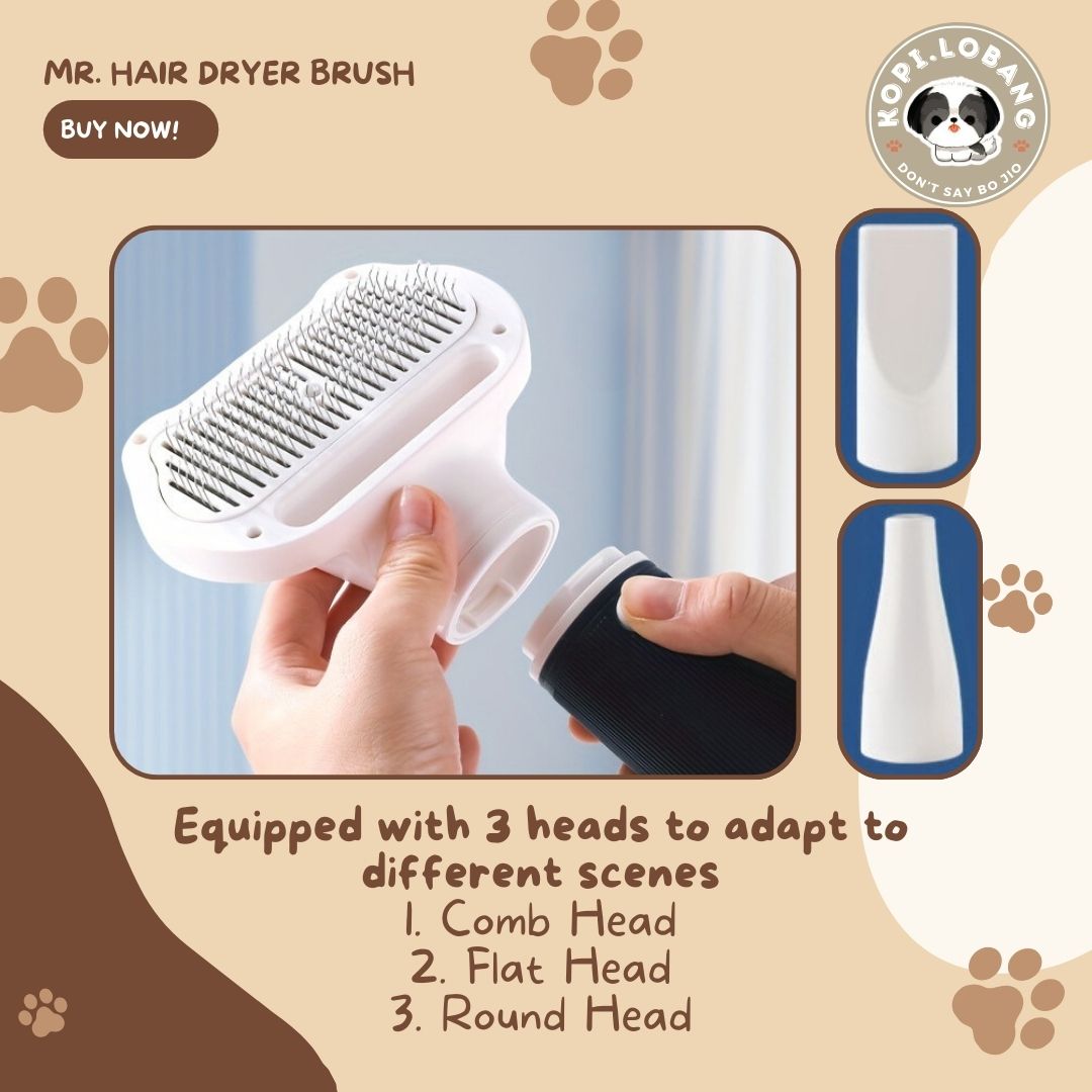 ✅[SG] MR. HAIR DRYER BRUSH ★ FOR DOG AND CAT FREE Enrichment Tips & Ideas e-Guide Worth $7 ★ Pet Enrichment ★ SG Stock ★ Kopi Lobang