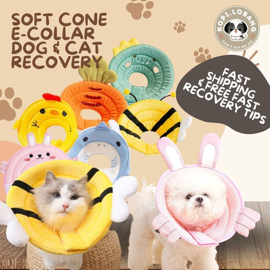 ✅[SG] [FAST] SOFT CONE E-COLLAR DOG & CAT RECOVERY ★ FREE e-Guide on 5 Important Tips for Fast Pet Recovery ★