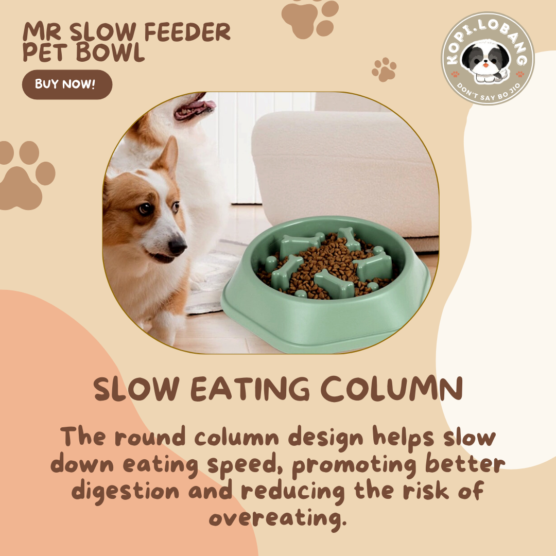 ✅[SG] [FAST SHIPPING] MR SLOW FEEDER PET BOWL ★ FREE Enrichment Tips & Ideas e-Guide  Worth $7 ★ For Dog Cat