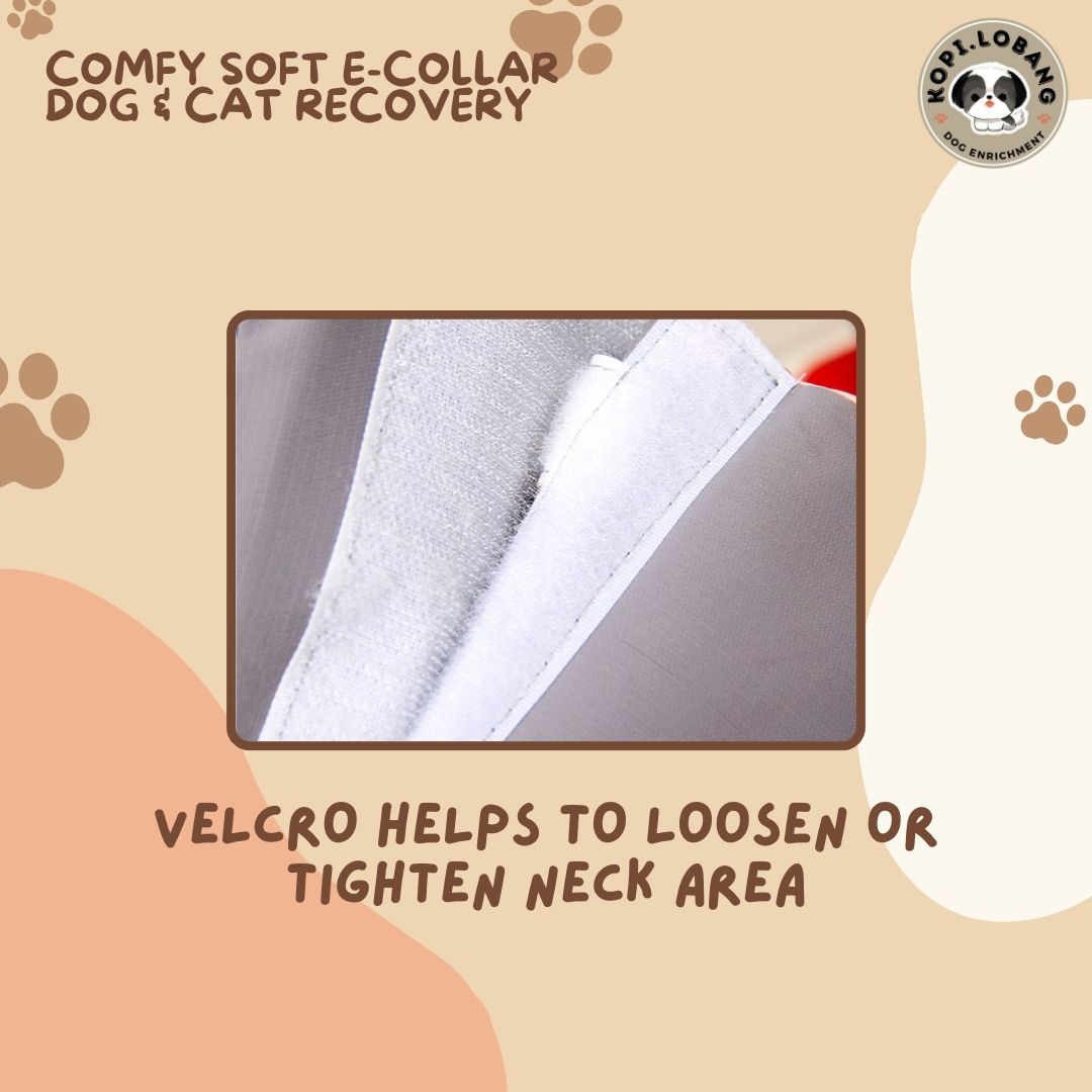 ✅[SG] [FAST] COMFY SOFT E-COLLAR DOG & CAT  RECOVERY CONE ★ FREE e-Guide on 5 Important Tips for Fast Pet Recovery ★