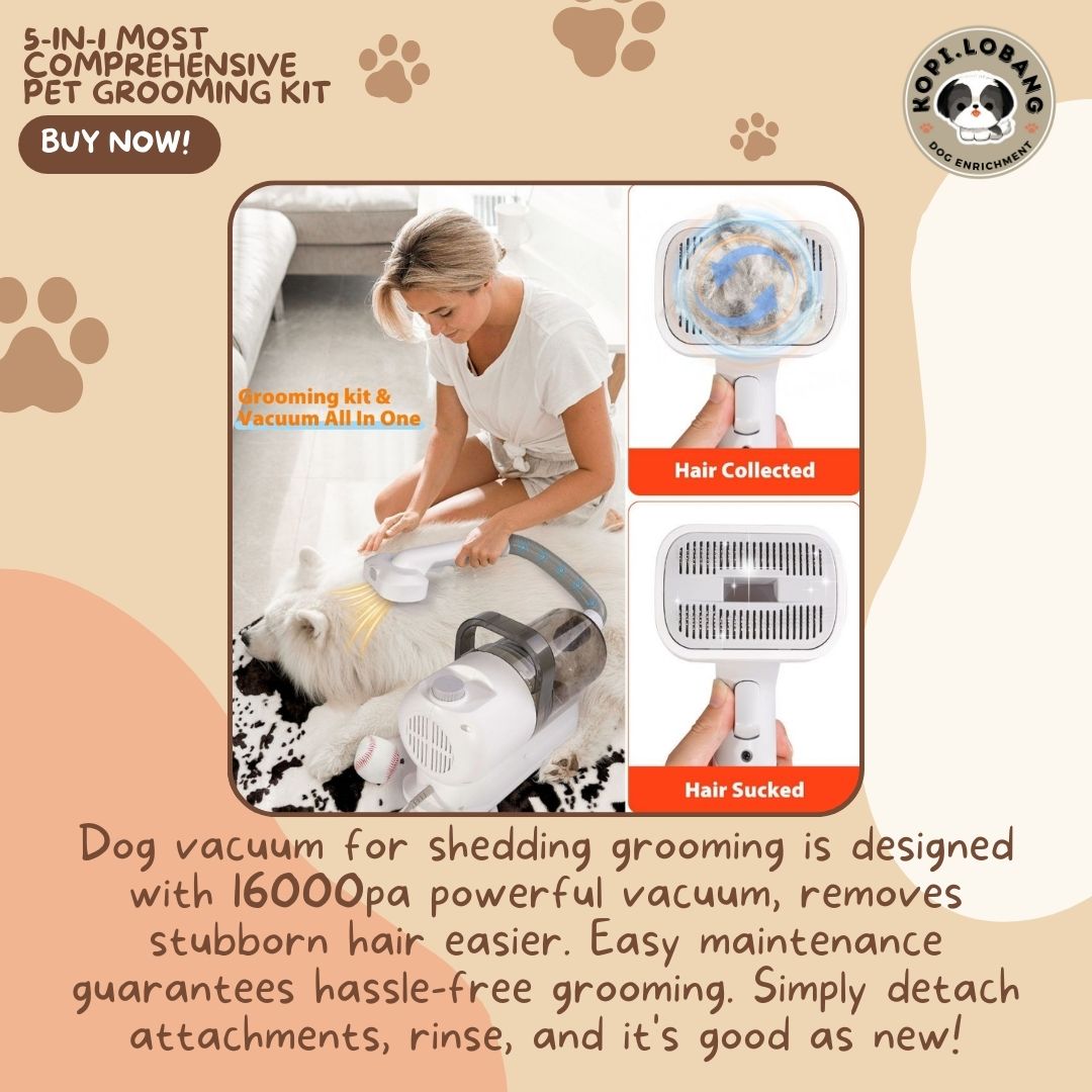 ✅[SG] 5-IN-1 MOST COMPREHENSIVE PET GROOMING KIT ★ FOR DOG AND CAT FREE Enrichment Tips & Ideas e-Guide Worth $7 ★ Pet Enrichment ★ SG Stock ★ Kopi Lobang