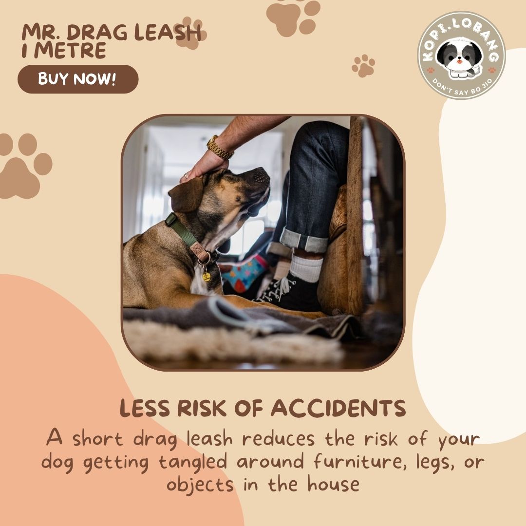 ✅[SG] Mr. Drag Leash 1 Meter For Better Control At Home ★ FREE Enrichment Tips & Ideas e-Guide Worth $7 ★ Enrichment ★ SG Stock ★ Kopi Lobang