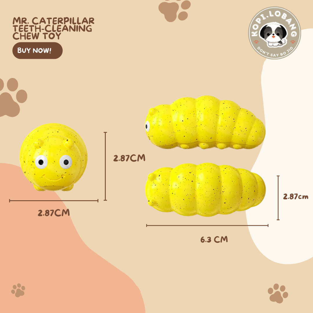 ✅[SG] MR. CATERPILLAR TEETH-CLEANING CHEW TOY ★ FREE Enrichment Tips & Ideas e-Guide Worth $7 ★ Pet Enrichment ★ SG Stock ★ Kopi Lobang