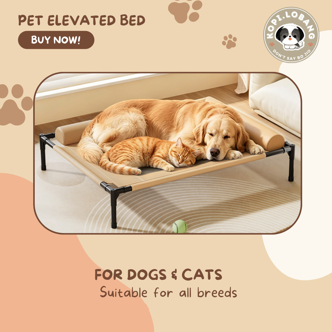 ✅[SG] Elevated Pet Bed for Dogs & Cats | Breathable & Durable Pet Bed | Easy Clean