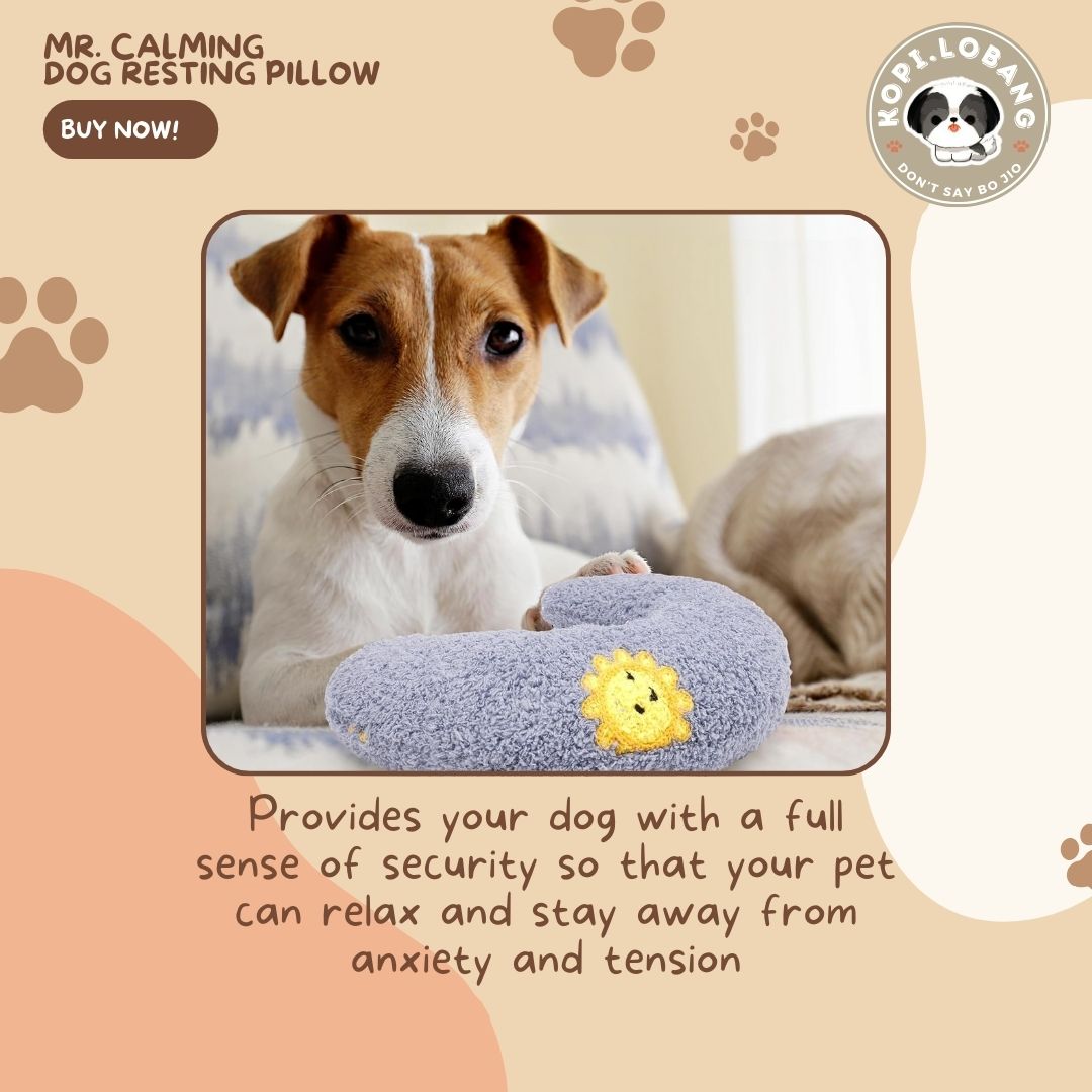 ✅[SG] MR. CALMING DOG RESTING PILLOW★ FREE Enrichment Tips & Ideas E-Guide Worth $7 ★ Enrichment ★ SG Stock ★ Kopi Lobang