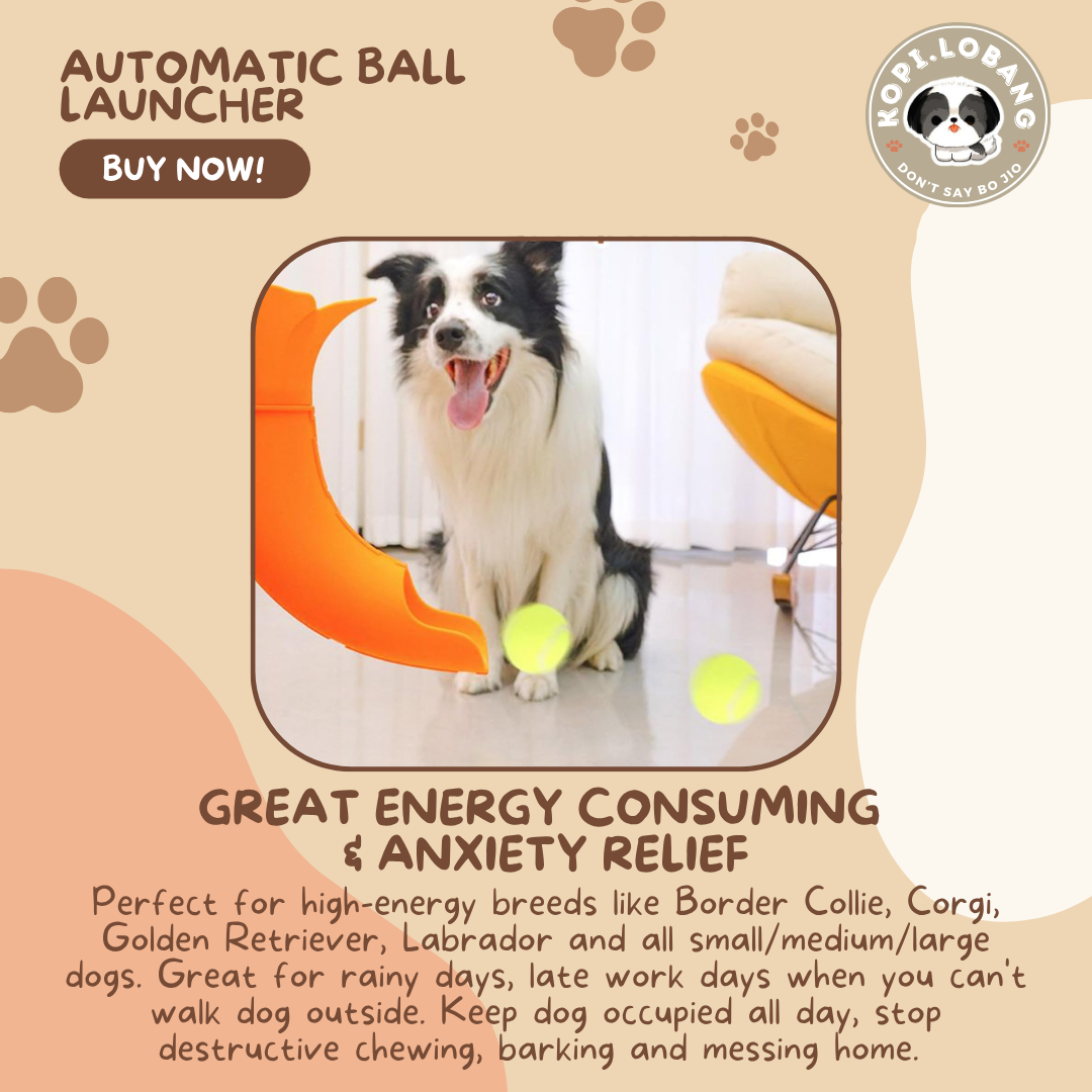✅[SG] Automatic Dog Tennis Ball Launcher | Smart Interactive Fetch Toy | Indoor Exercise | Boredom Relief & Training
