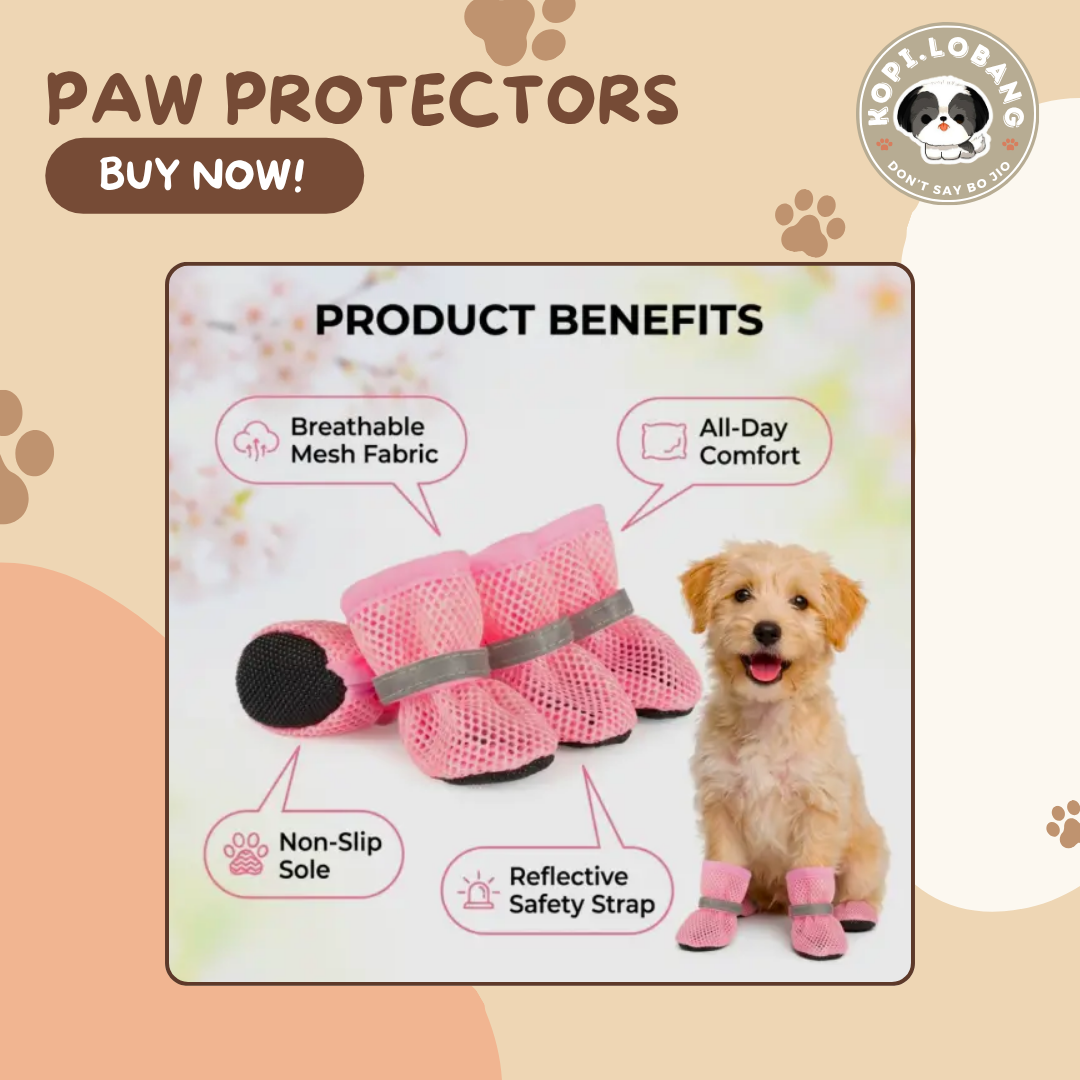 ✅[SG] Paw Protector ★ Enrichment ★ SG Stock ★ Kopi Lobang