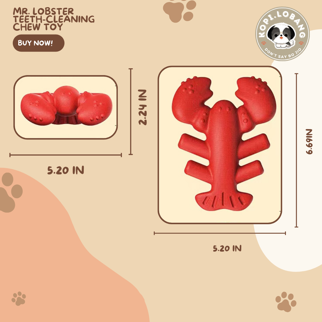 ✅[SG] MR. LOBSTER TEETH-CLEANING CHEW TOY ★ FREE Enrichment Tips & Ideas e-Guide Worth $7 ★ Pet Enrichment ★ SG Stock ★ Kopi Lobang