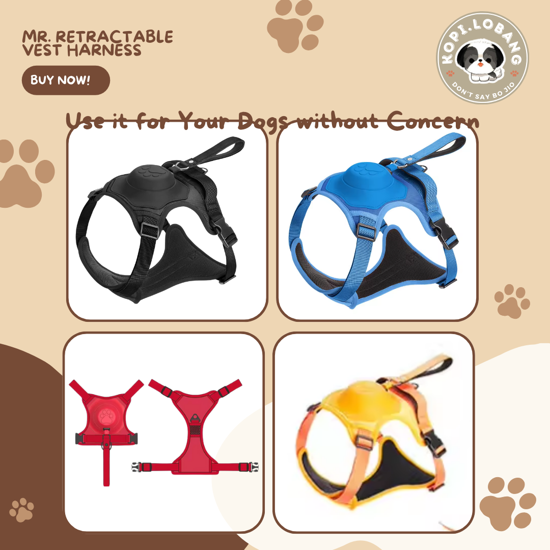 ✅[SG] MR. RETRACTABLE VEST HARNESS ★ FREE Enrichment Tips & Ideas e-Guide Worth $7 ★ Pet Enrichment ★ SG Stock ★ Kopi Lobang