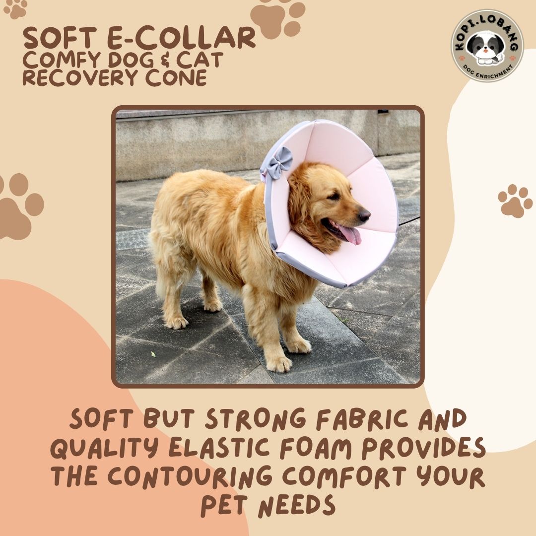 ✅[SG] [FAST] SOFT E-COLLAR COMFY TRIANGLE DOG & CAT RECOVERY CONE ★ FREE e-Guide on 5 Important Tips for Fast Pet Recovery ★