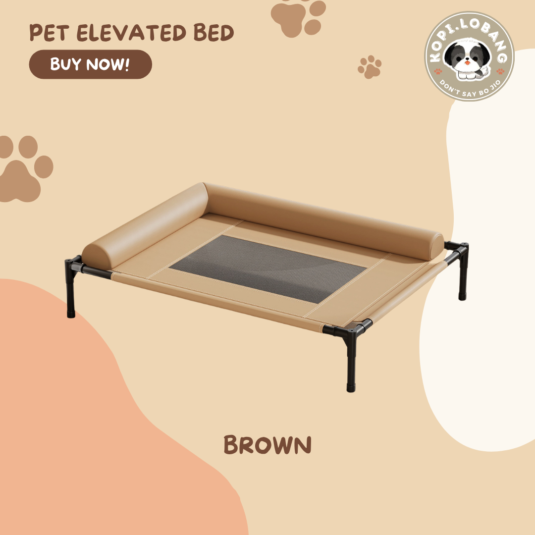 ✅[SG] Elevated Pet Bed for Dogs & Cats | Breathable & Durable Pet Bed | Easy Clean