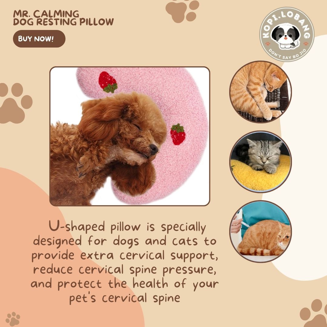 ✅[SG] MR. CALMING DOG RESTING PILLOW★ FREE Enrichment Tips & Ideas E-Guide Worth $7 ★ Enrichment ★ SG Stock ★ Kopi Lobang