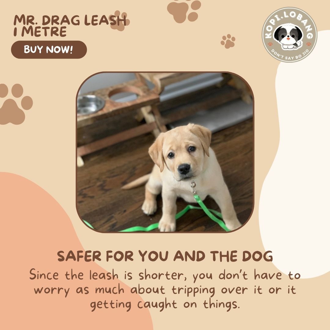 ✅[SG] Mr. Drag Leash 1 Meter For Better Control At Home ★ FREE Enrichment Tips & Ideas e-Guide Worth $7 ★ Enrichment ★ SG Stock ★ Kopi Lobang