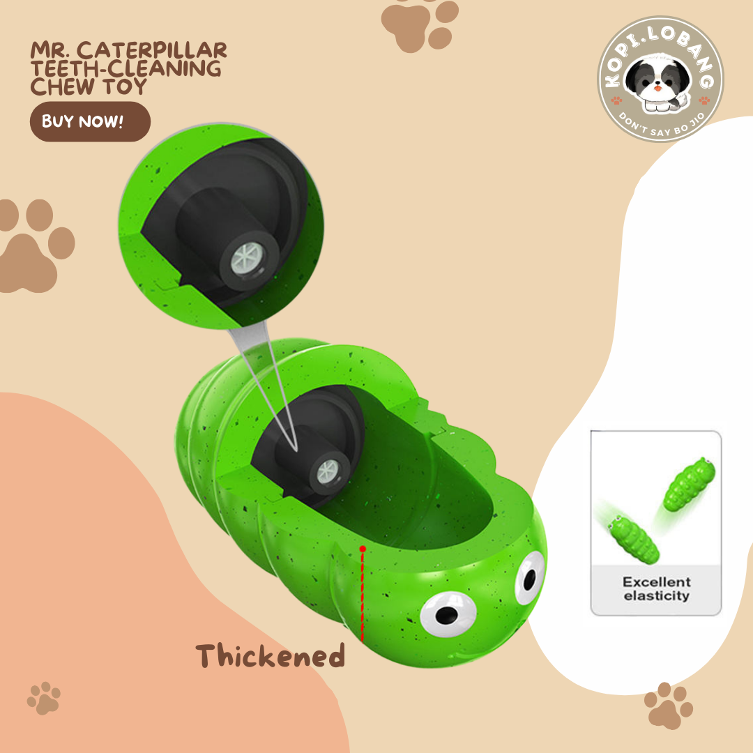 ✅[SG] MR. CATERPILLAR TEETH-CLEANING CHEW TOY ★ FREE Enrichment Tips & Ideas e-Guide Worth $7 ★ Pet Enrichment ★ SG Stock ★ Kopi Lobang