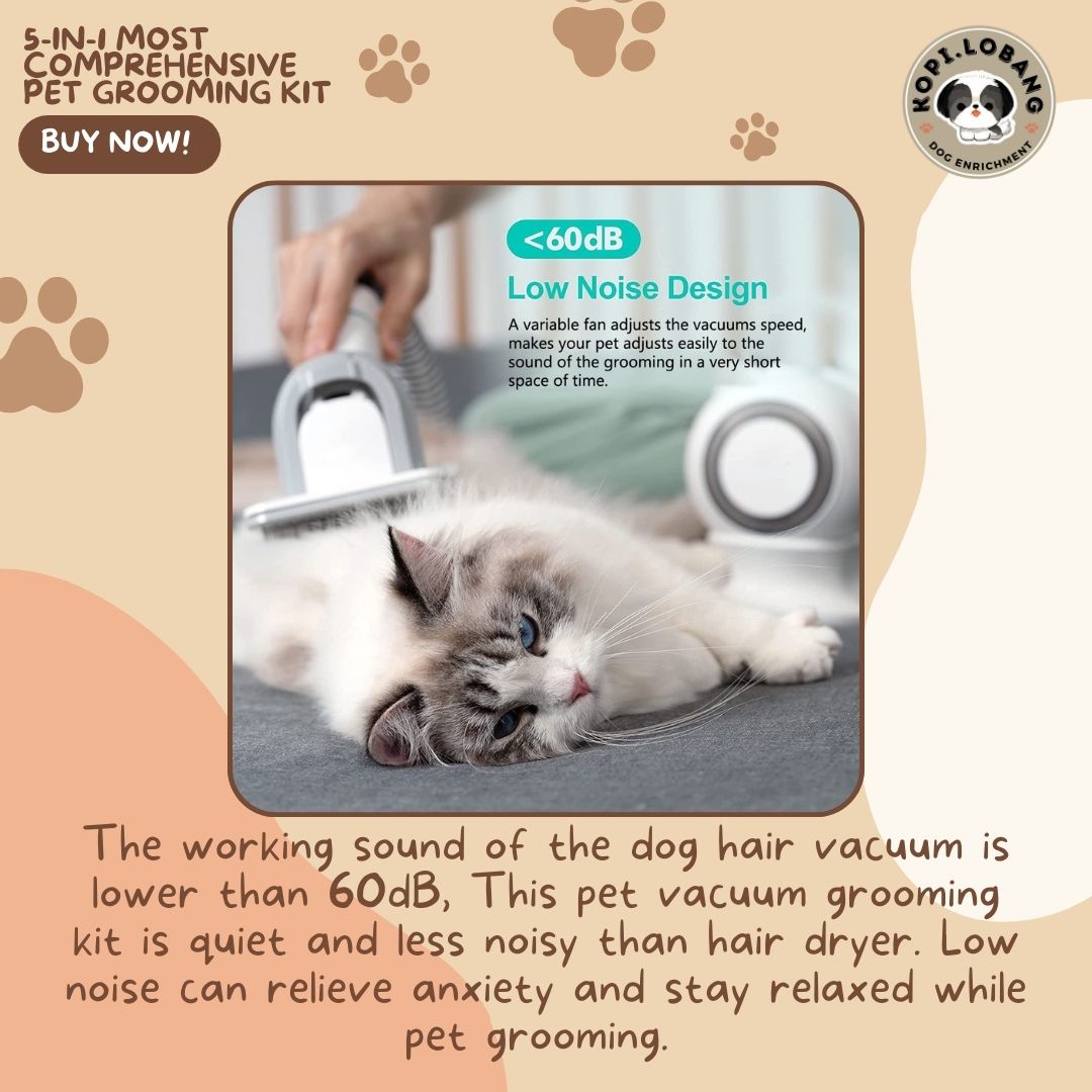 ✅[SG] 5-IN-1 MOST COMPREHENSIVE PET GROOMING KIT ★ FOR DOG AND CAT FREE Enrichment Tips & Ideas e-Guide Worth $7 ★ Pet Enrichment ★ SG Stock ★ Kopi Lobang