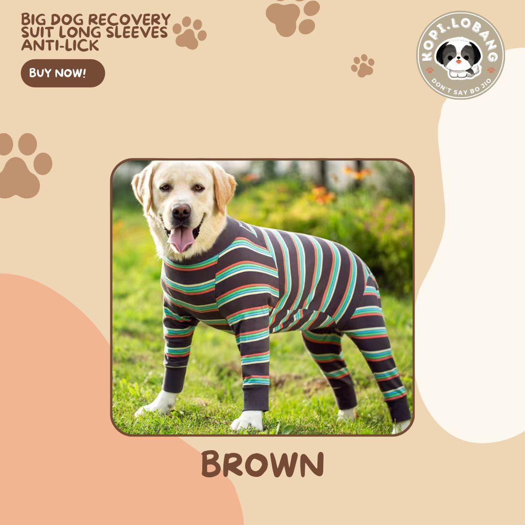 Big Dog Recovery Suit Long Sleeves Anti-Lick