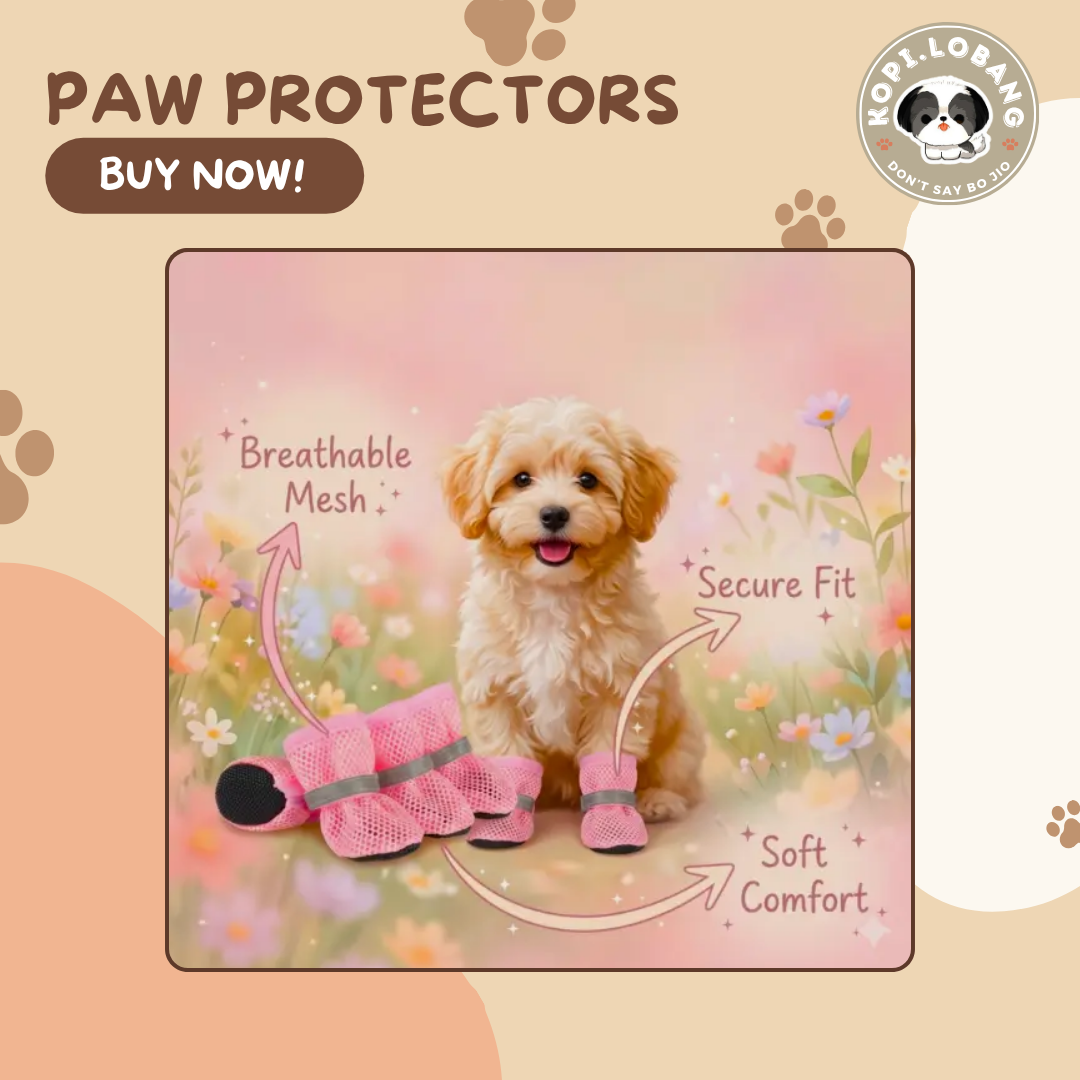 ✅[SG] Paw Protector ★ Enrichment ★ SG Stock ★ Kopi Lobang