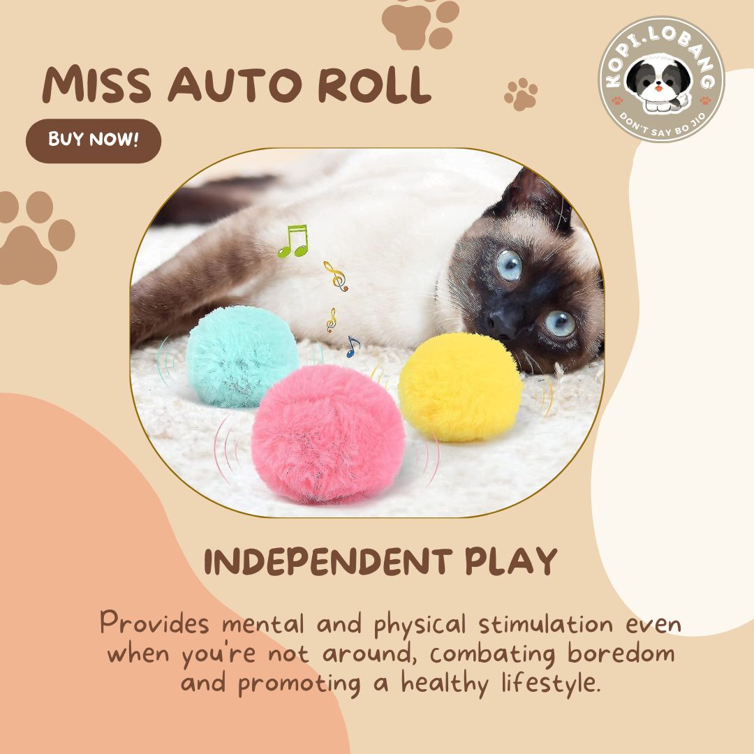 ✅[SG] MISS AUTO ROLL INTERACTIVE WAG BALL ★ Agility Training ★FREE Enrichment Tips & Ideas e-Guide Worth $7★ Enrichment ★ SG Stock ★ Kopi Lobang