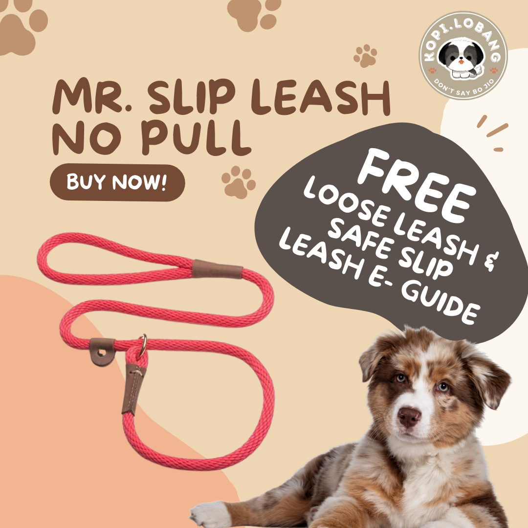 ✅[SG] MR. SLIP LEASH NO-PULL 5 Feet ★ Loose Leash Walking & Training ★ FREE Loose Leash Walking e-Guide Worth $7 ★ SG Stock ★ Kopi Lobang