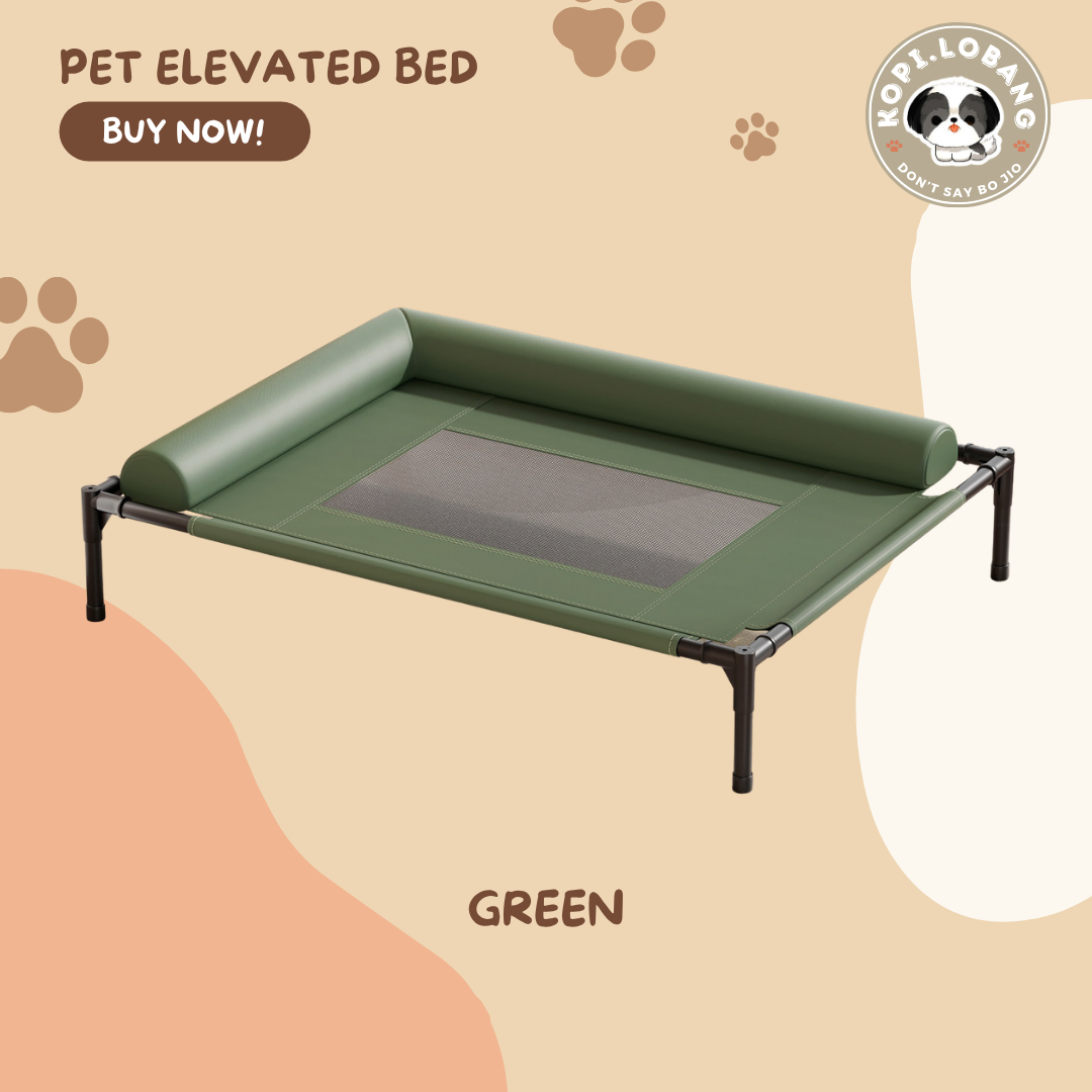 ✅[SG] Elevated Pet Bed for Dogs & Cats | Breathable & Durable Pet Bed | Easy Clean
