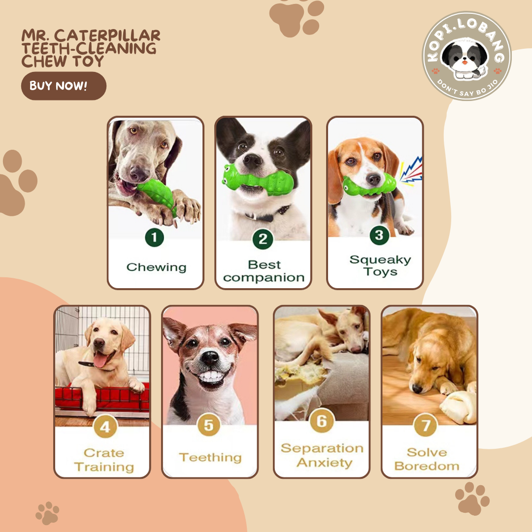 ✅[SG] MR. CATERPILLAR TEETH-CLEANING CHEW TOY ★ FREE Enrichment Tips & Ideas e-Guide Worth $7 ★ Pet Enrichment ★ SG Stock ★ Kopi Lobang