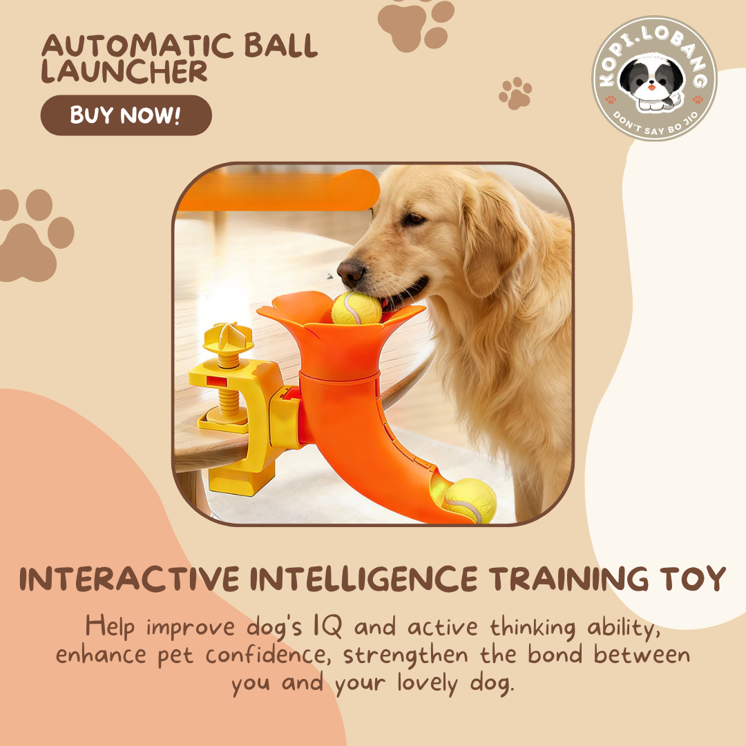 ✅[SG] Automatic Dog Tennis Ball Launcher | Smart Interactive Fetch Toy | Indoor Exercise | Boredom Relief & Training