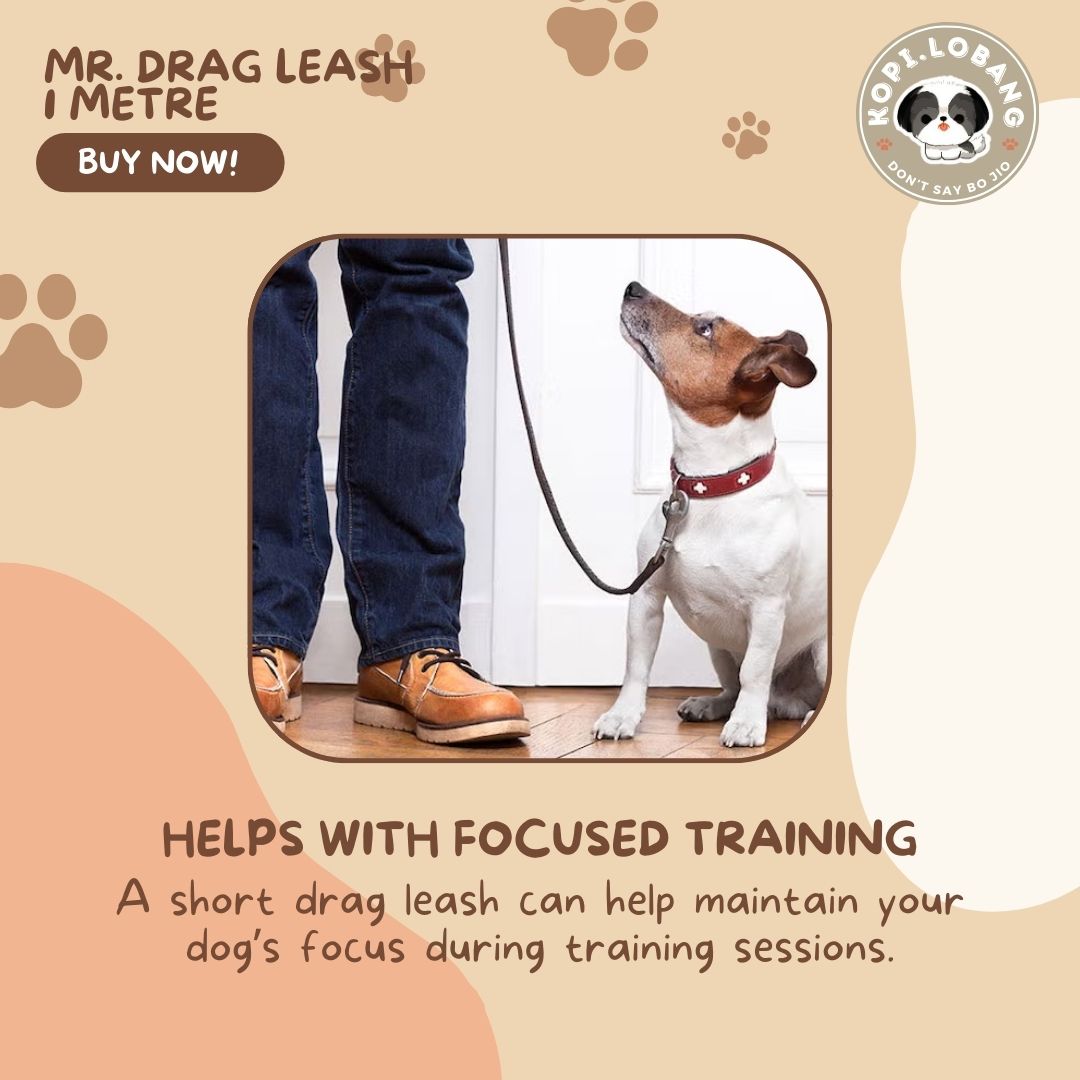 ✅[SG] Mr. Drag Leash 1 Meter For Better Control At Home ★ FREE Enrichment Tips & Ideas e-Guide Worth $7 ★ Enrichment ★ SG Stock ★ Kopi Lobang