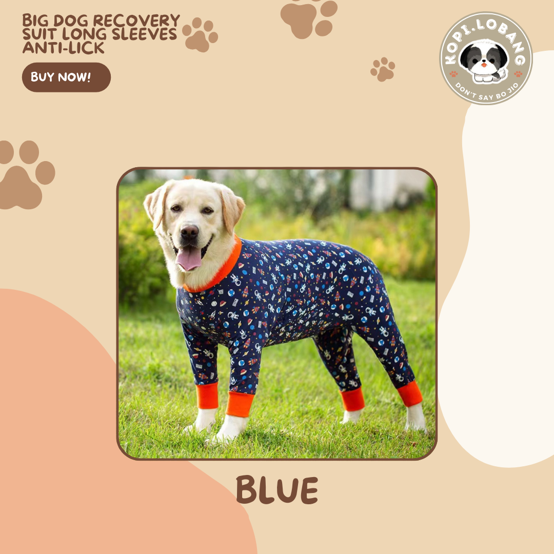 Big Dog Recovery Suit Long Sleeves Anti-Lick