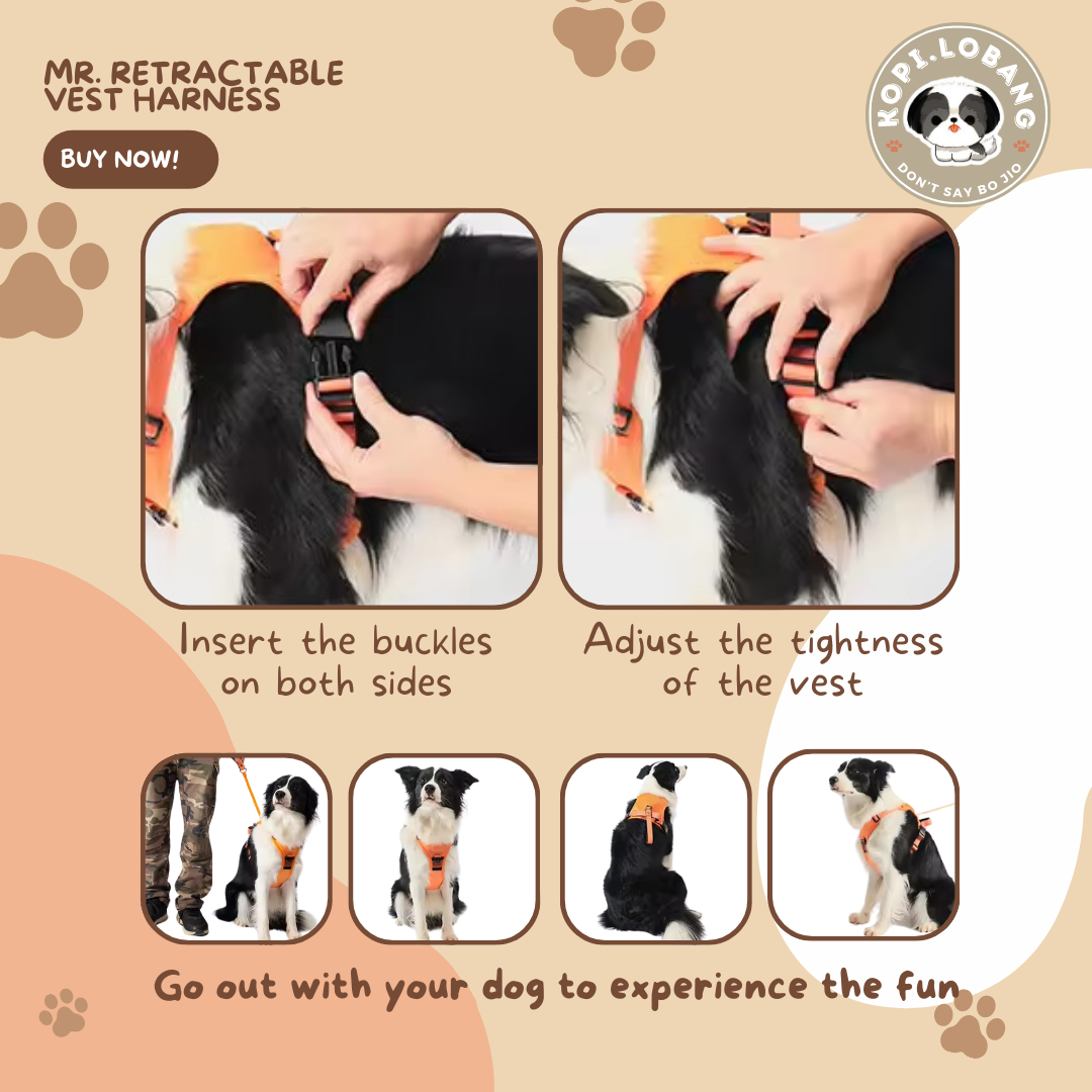 ✅[SG] MR. RETRACTABLE VEST HARNESS ★ FREE Enrichment Tips & Ideas e-Guide Worth $7 ★ Pet Enrichment ★ SG Stock ★ Kopi Lobang