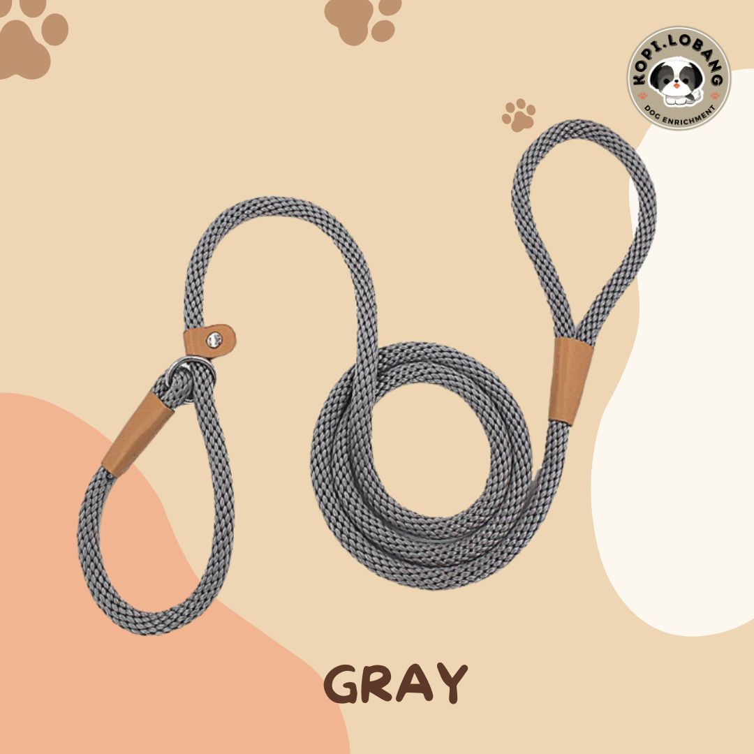 ✅[SG] MR. SLIP LEASH NO-PULL 5 Feet ★ Loose Leash Walking & Training ★ FREE Loose Leash Walking e-Guide Worth $7 ★ SG Stock ★ Kopi Lobang