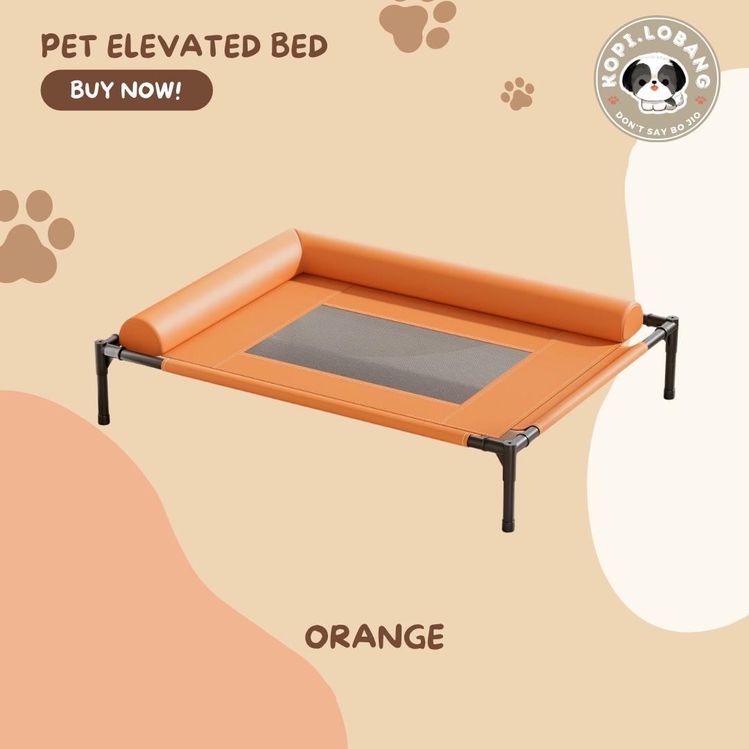✅[SG] Elevated Pet Bed for Dogs & Cats | Breathable & Durable Pet Bed | Easy Clean