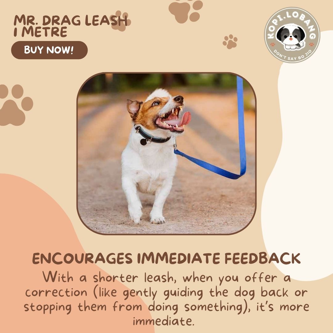 ✅[SG] Mr. Drag Leash 1 Meter For Better Control At Home ★ FREE Enrichment Tips & Ideas e-Guide Worth $7 ★ Enrichment ★ SG Stock ★ Kopi Lobang