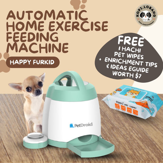 ✅[SG] MISS AUTOMATIC HOME EXERCISE FEEDING MACHINE ★ FREE Enrichment Tips & Ideas e-Guide Worth $7★ Enrichment ★ SG Stock ★ Kopi Lobang