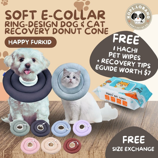 ✅[SG] [FAST] SOFT CONE E-COLLAR RING DESIGN DOG & CAT RECOVERY CIRCLE ★ FREE e-Guide on 5 Important Tips for Fast Pet Recovery ★