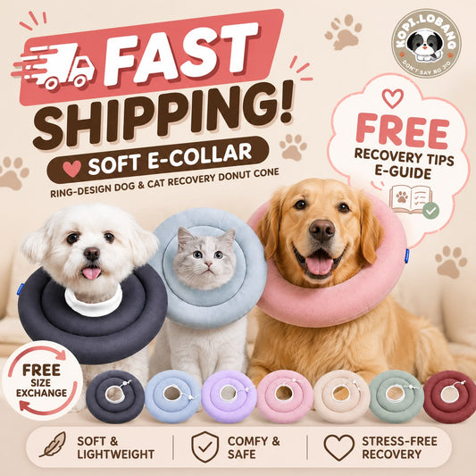 ✅[SG] [FAST] SOFT CONE E-COLLAR RING DESIGN DOG & CAT RECOVERY CIRCLE ★