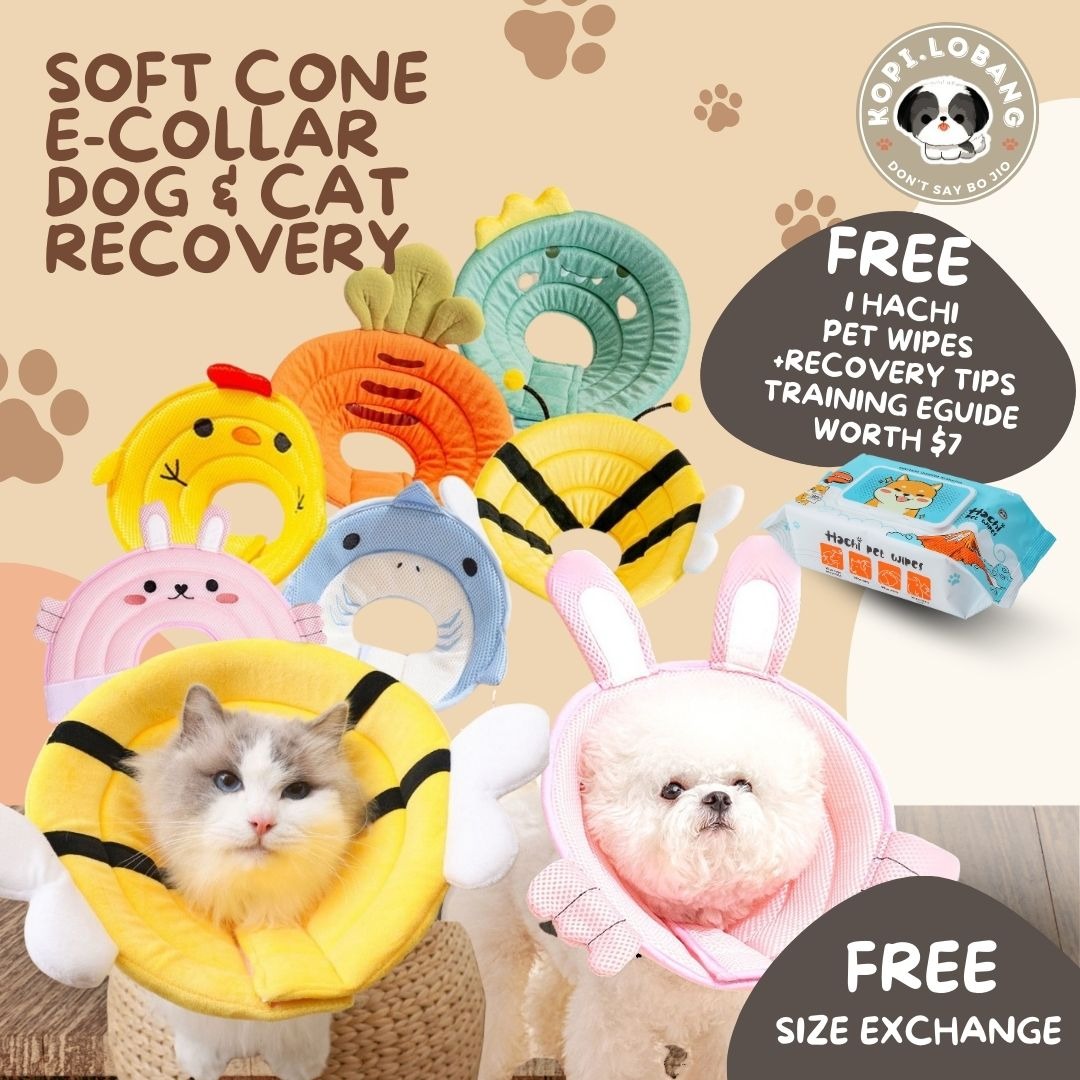 ✅[SG] [FAST] SOFT CONE E-COLLAR DOG & CAT RECOVERY ★ FREE e-Guide on 5 Important Tips for Fast Pet Recovery ★