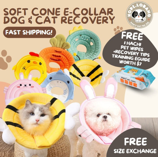 ✅[SG] [FAST] SOFT CONE E-COLLAR DOG & CAT RECOVERY ★ FREE e-Guide on 5 Important Tips for Fast Pet Recovery ★