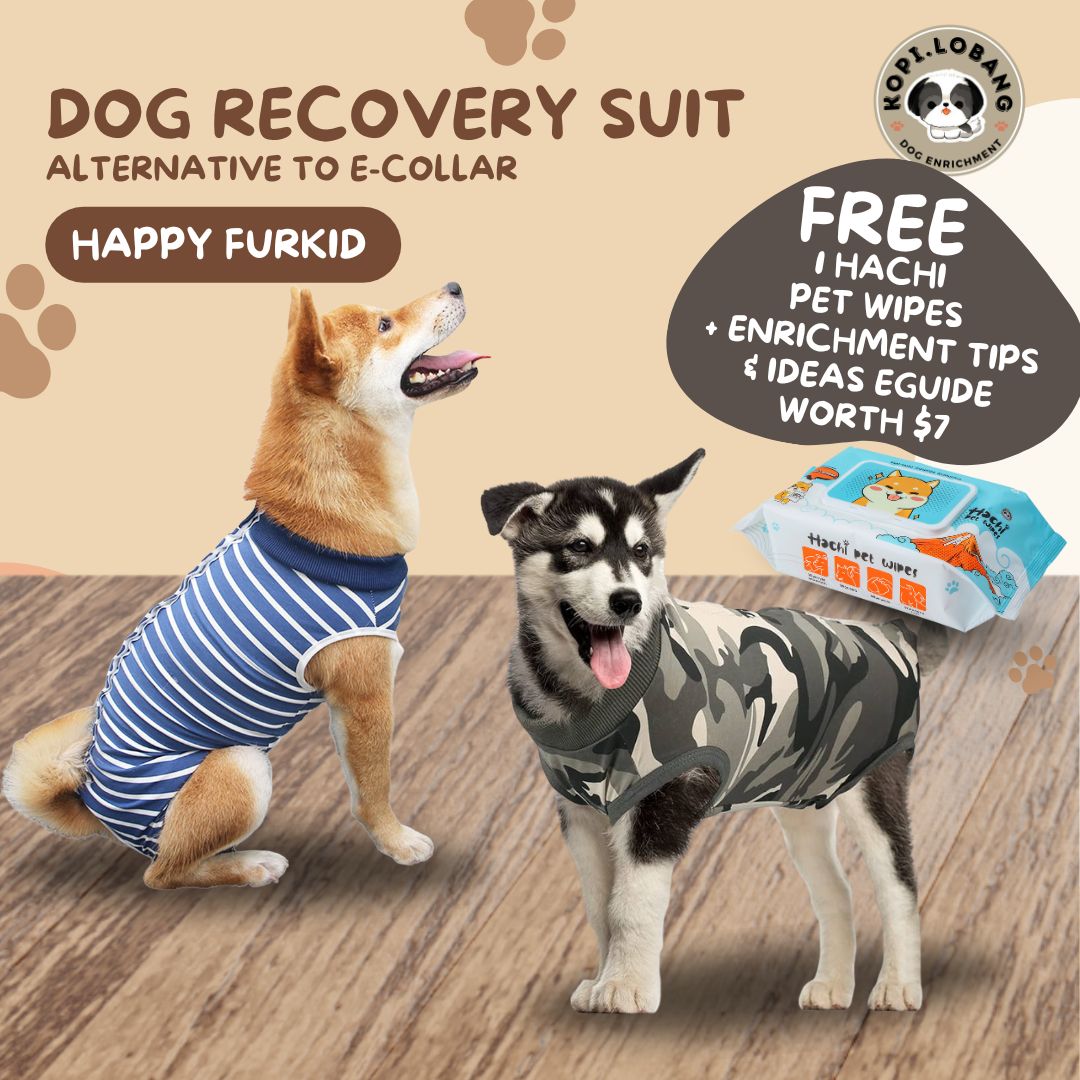 ✅[SG] Pet Recovery Suit for Dogs & Cats – Comfortable E-Collar Alternative