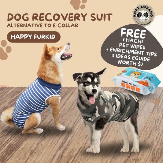 ✅[SG] Pet Recovery Suit for Dogs & Cats – Comfortable E-Collar Alternative