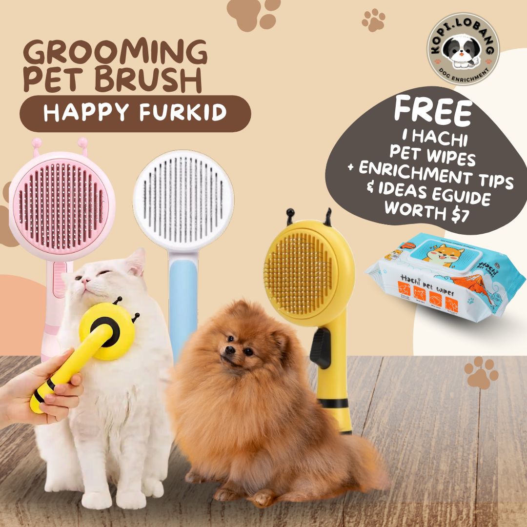 ✅[SG] MR BEE GROOMING PET BRUSH ★ FREE Enrichment Tips & Ideas e-Guide Worth $7 ★ SG Stock ★ Kopi Lobang ★