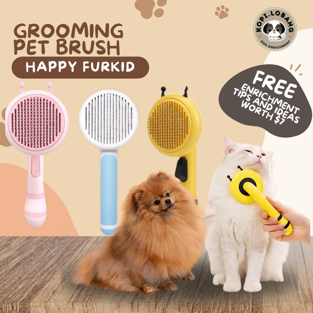 ✅[SG] MR BEE GROOMING PET BRUSH ★ FREE Enrichment Tips & Ideas e-Guide Worth $7 ★ SG Stock ★ Kopi Lobang ★