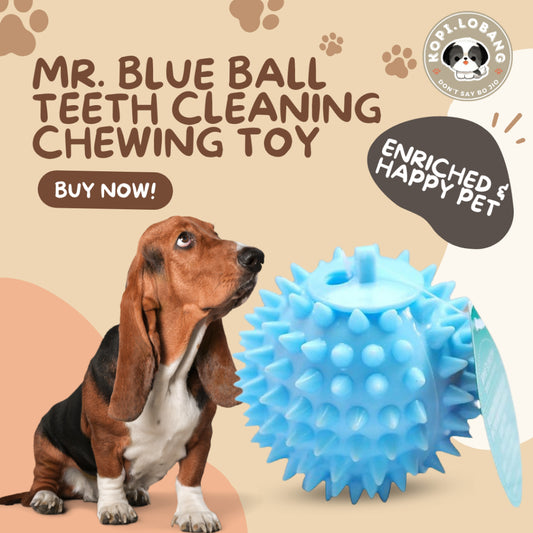 ✅[SG] MR. BLUE BALL TEETH CLEANING CHEWING TOY ★ Dental Hygiene Training ★ FREE Enrichment Tips & Ideas e-Guide Worth $7★ Enrichment ★ SG Stock ★ Kopi Lobang