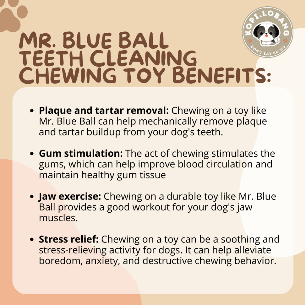 ✅[SG] MR. BLUE BALL TEETH CLEANING CHEWING TOY ★ Dental Hygiene Training ★ FREE Enrichment Tips & Ideas e-Guide Worth $7★ Enrichment ★ SG Stock ★ Kopi Lobang