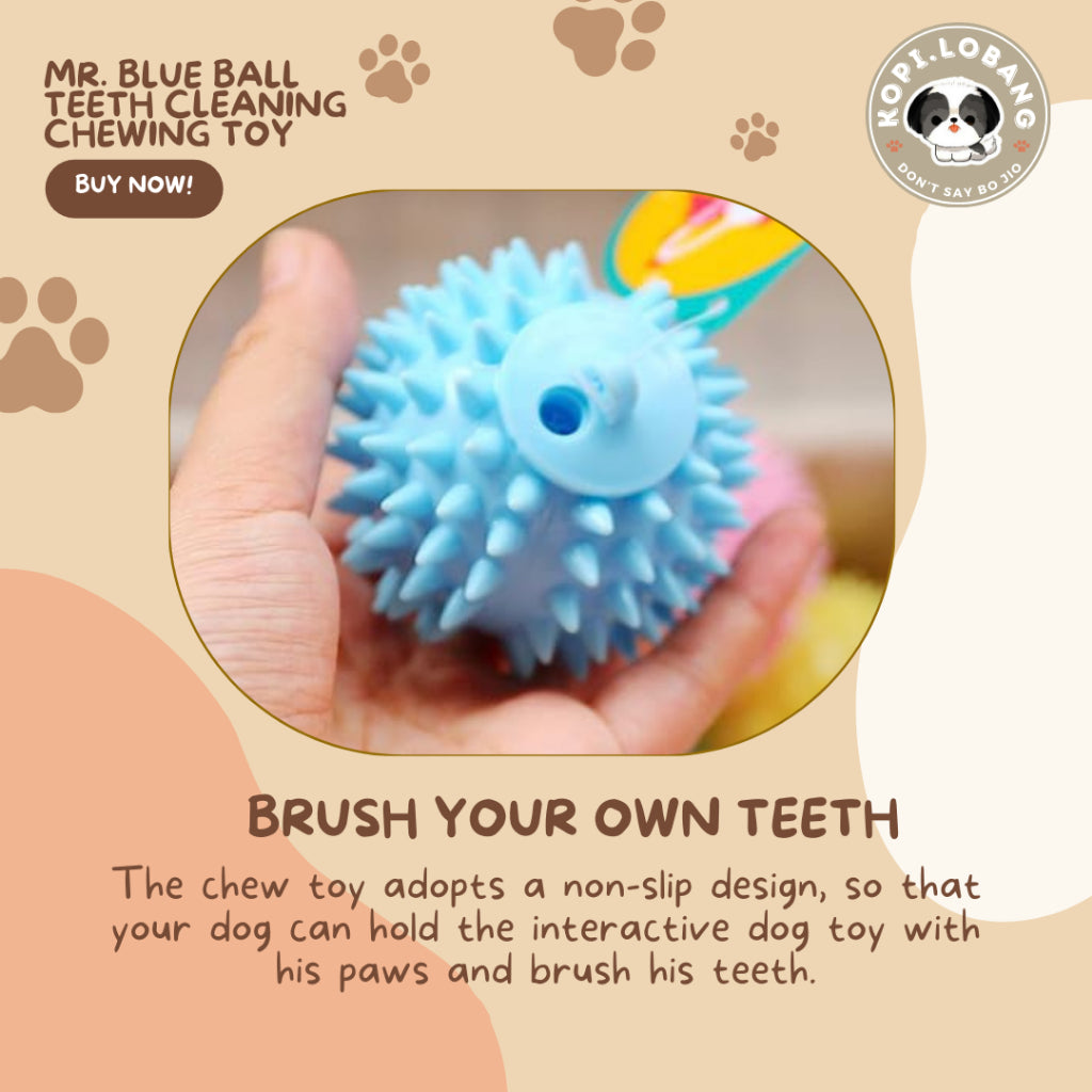 ✅[SG] MR. BLUE BALL TEETH CLEANING CHEWING TOY ★ Dental Hygiene Training ★ FREE Enrichment Tips & Ideas e-Guide Worth $7★ Enrichment ★ SG Stock ★ Kopi Lobang