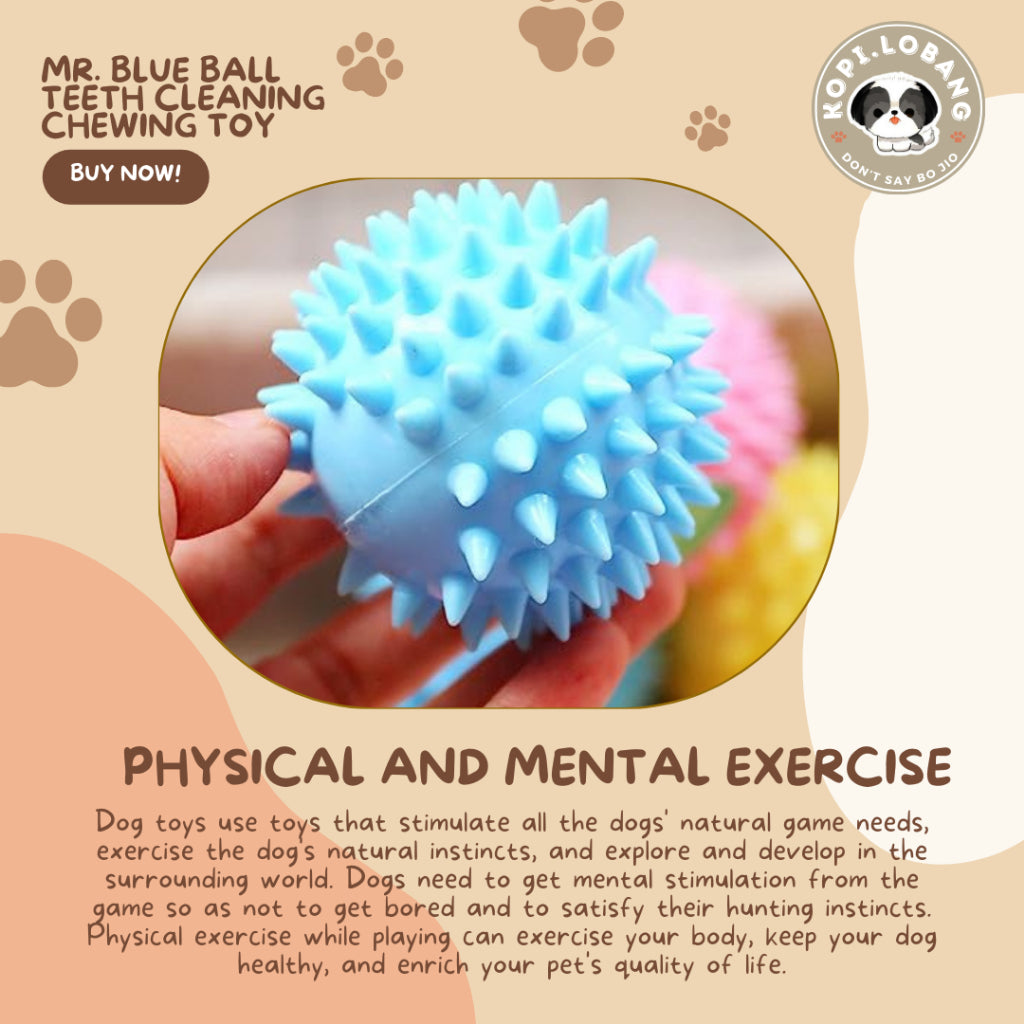 ✅[SG] MR. BLUE BALL TEETH CLEANING CHEWING TOY ★ Dental Hygiene Training ★ FREE Enrichment Tips & Ideas e-Guide Worth $7★ Enrichment ★ SG Stock ★ Kopi Lobang