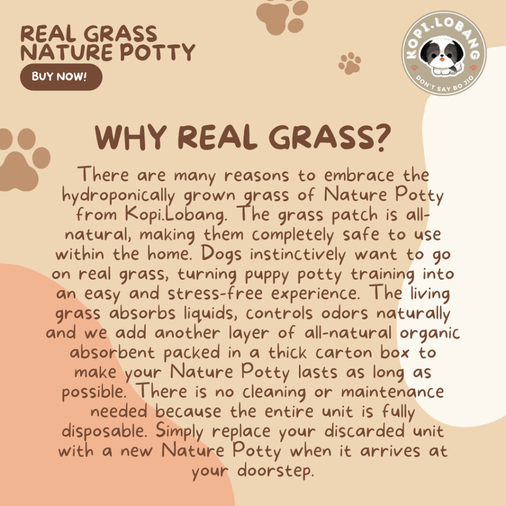 ✅[SG] 3 MONTHS (6 DELIVERIES) REAL GRASS NATURE POTTY ★ FREE Training e-Guide Worth $7 ★ SG Stock ★ Kopi Lobang ★ The First Pet Potty Real Grass in Singapore ★ Perfect for Gift