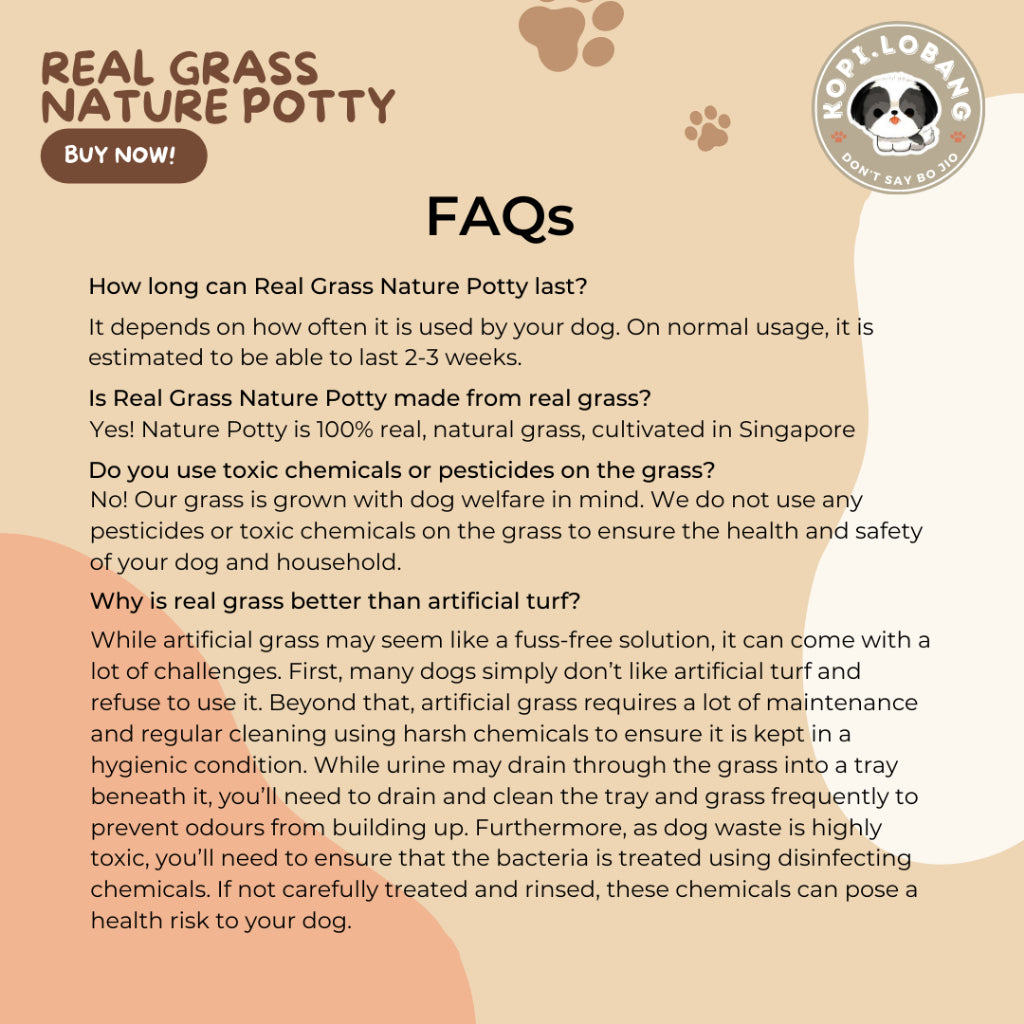 ✅[SG] 3 MONTHS (6 DELIVERIES) REAL GRASS NATURE POTTY ★ FREE Training e-Guide Worth $7 ★ SG Stock ★ Kopi Lobang ★ The First Pet Potty Real Grass in Singapore ★ Perfect for Gift